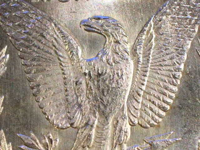 Grading-And-Cleaning-Questions----1880-S-Morgan